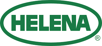 Helena